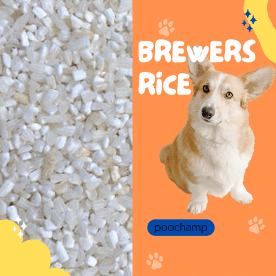 brewers rice in dog food