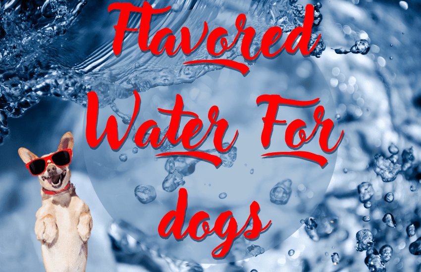 water flavor for dogs