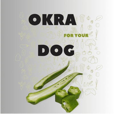 can dogs eat Okra