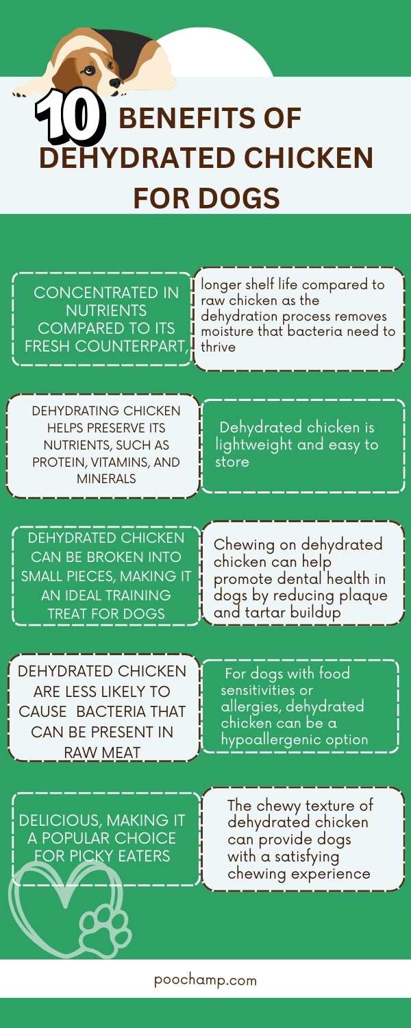 Dehydrated chicken for dogs