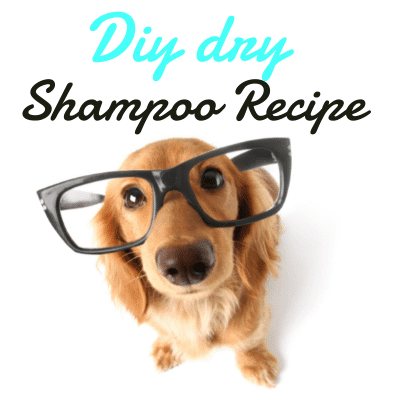 DIY Dog Dry Shampoo