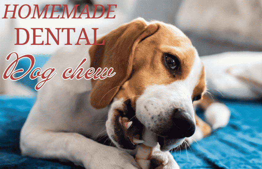 dog chewing homemade chew